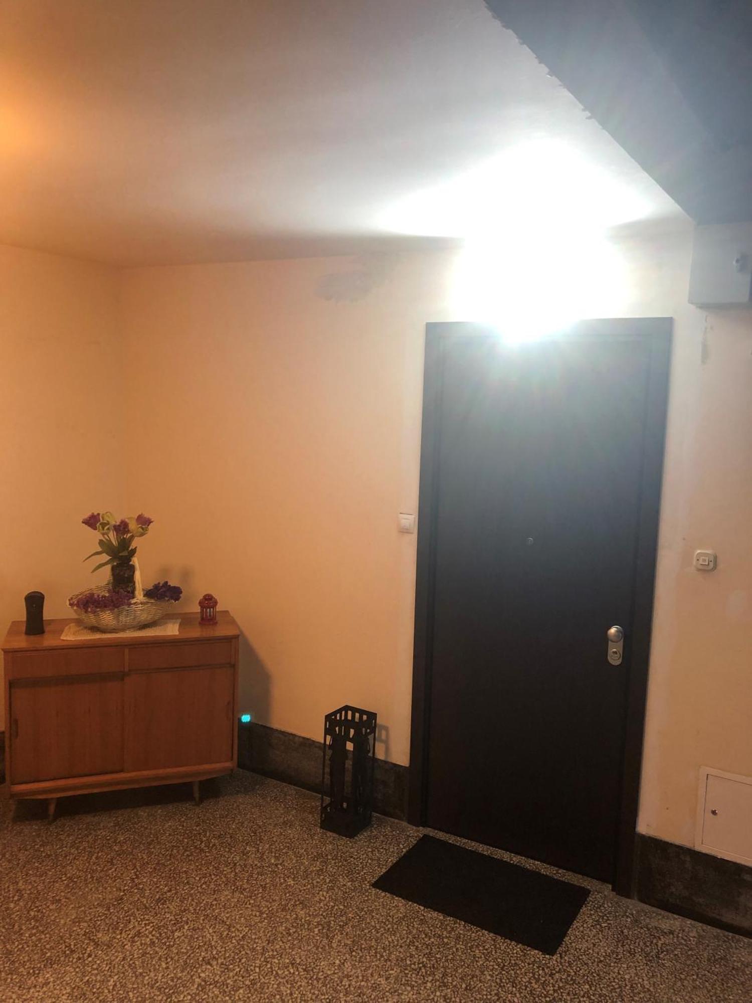 Rakuscha Apartment Záhřeb Exteriér fotografie